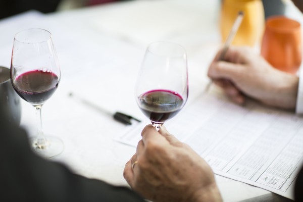 Concours International des Cabernets : Le rendez-vous annuel des cabernets du monde entier !