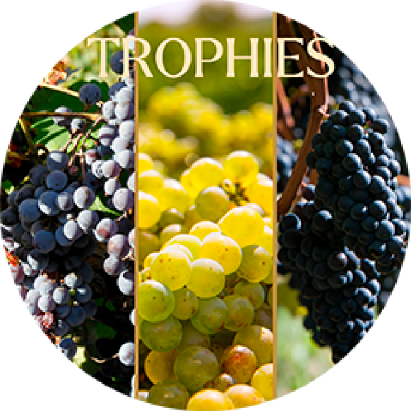 Participez à une dégustation unique au London Tasting Awards !